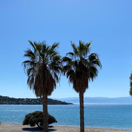 Palm Suite Green Porto Heli Exterior photo
