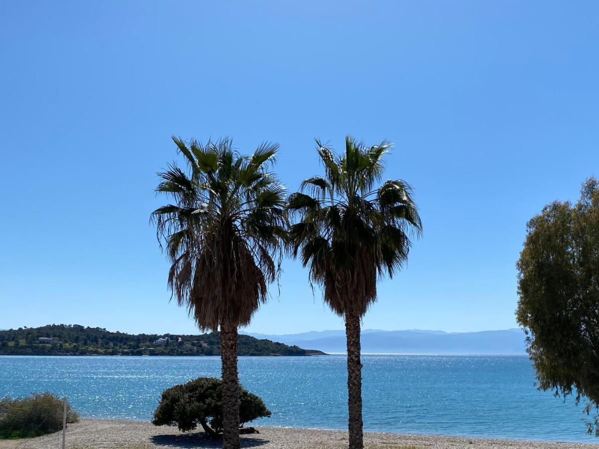 Palm Suite Green Porto Heli Exterior photo